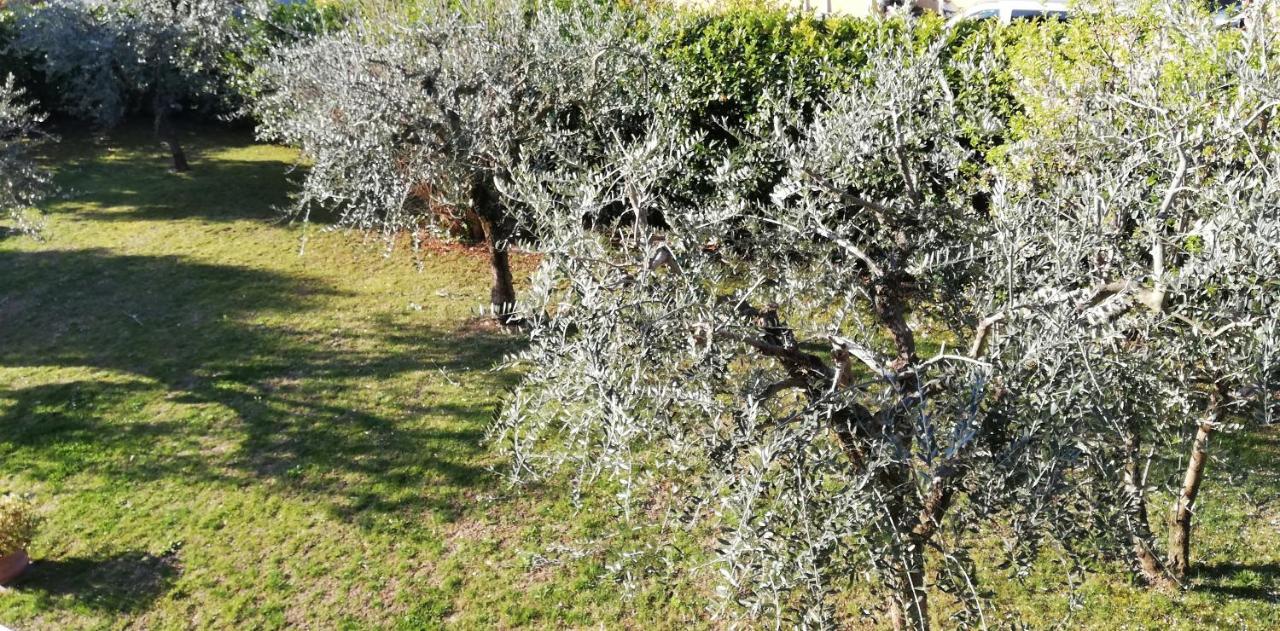 Bed and Breakfast Il Melograno Гарда Екстер'єр фото